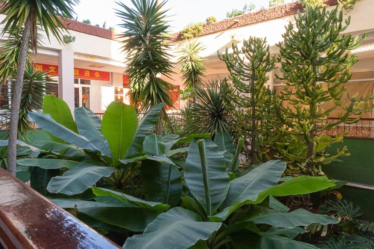 Apartment El Dorado, Las Americas アロナ エクステリア 写真